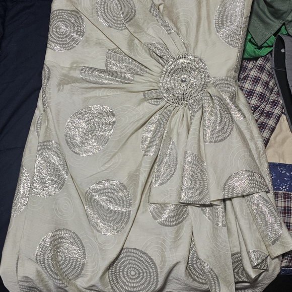 Silver Bubble Dress with Ruched Tie Front - Picture 1 of 3